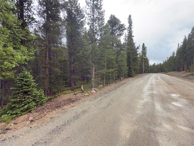 LOT285 Lower Forest Rd, Idaho Springs, CO 80452 - photo 6