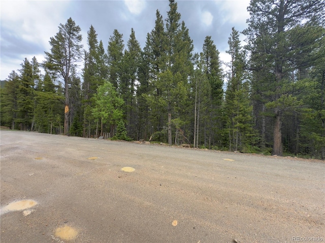 LOT285 Lower Forest Rd, Idaho Springs, CO 80452 - photo 8