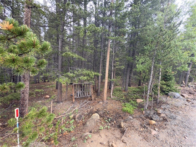 LOT285 Lower Forest Rd, Idaho Springs, CO 80452 - photo 9