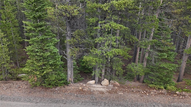 LOT285 Lower Forest Rd, Idaho Springs, CO 80452 - photo 10