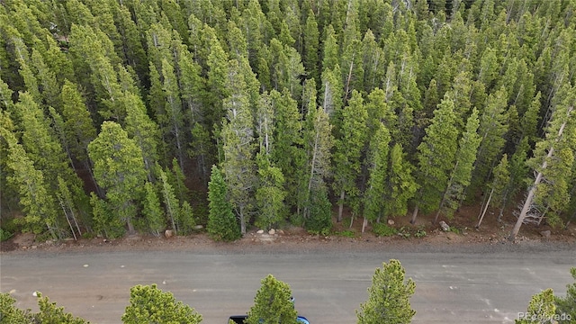 LOT285 Lower Forest Rd, Idaho Springs, CO 80452 - photo 11