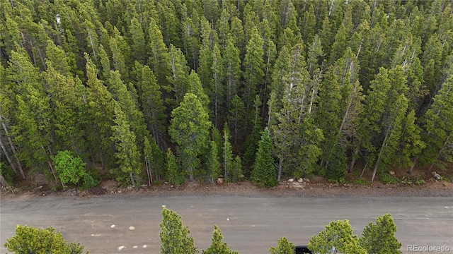 LOT285 Lower Forest Rd, Idaho Springs, CO 80452 - photo 12