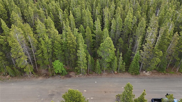 LOT285 Lower Forest Rd, Idaho Springs, CO 80452 - photo 13