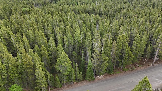 LOT285 Lower Forest Rd, Idaho Springs, CO 80452 - photo 14