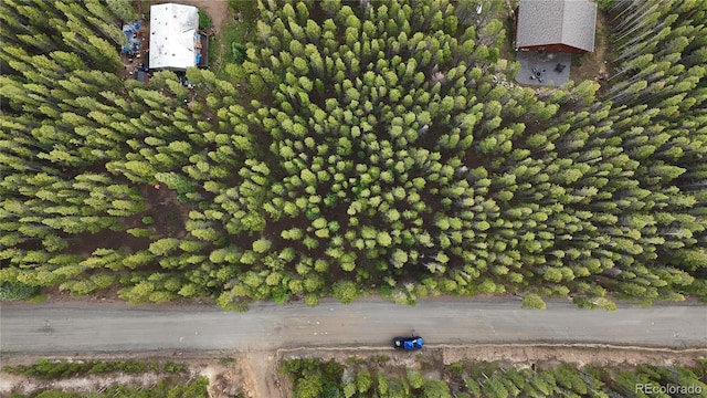 LOT285 Lower Forest Rd, Idaho Springs, CO 80452 - photo 15