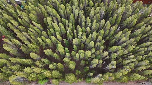 LOT285 Lower Forest Rd, Idaho Springs, CO 80452 - photo 16