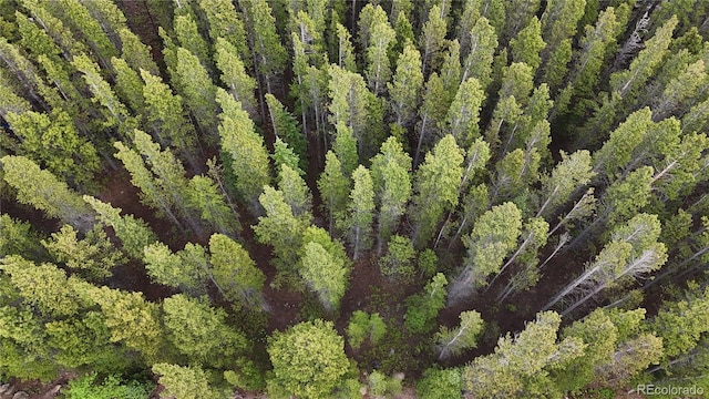 LOT285 Lower Forest Rd, Idaho Springs, CO 80452 - photo 17
