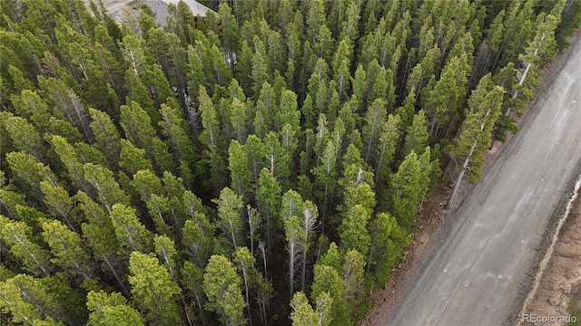 LOT285 Lower Forest Rd, Idaho Springs, CO 80452 - photo 18