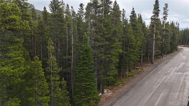 LOT285 Lower Forest Rd, Idaho Springs, CO 80452 - photo 19