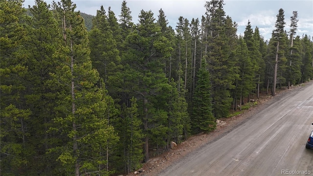 LOT285 Lower Forest Rd, Idaho Springs, CO 80452 - photo 20