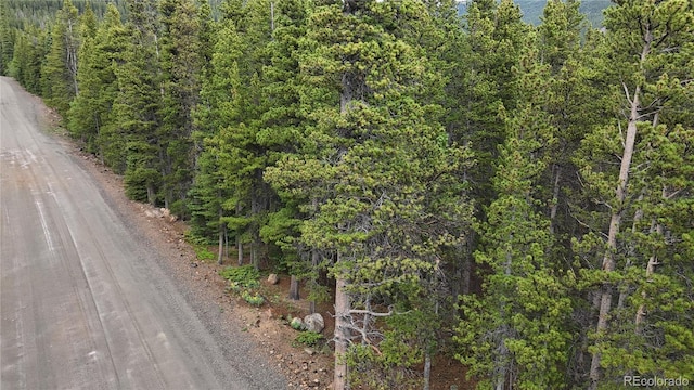 LOT285 Lower Forest Rd, Idaho Springs, CO 80452 - photo 21