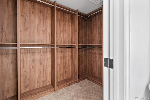 5569 Willow Springs Dr, Morrison, CO 80465 - spacious closet featuring elevator