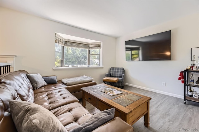 3235 S Newland St, Denver, CO 80227 - living room featuring wood finished floors and baseboards