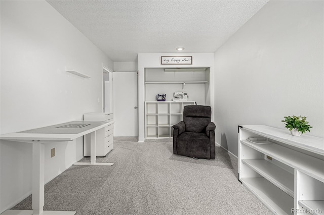 sitting room featuring carpet flooring and a textured ceiling