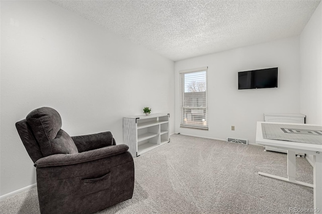 living area with carpet floors and a textured ceiling