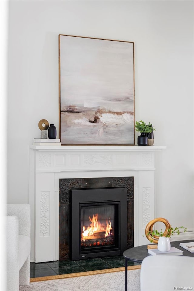 3346 W 30th Ave, Denver, CO 80211 - detailed view of a fireplace with flush hearth