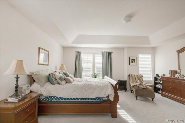 13664 Cherry St, Thornton, CO 80602 - bedroom with light colored carpet and a raised ceiling