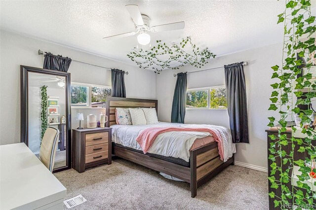 525 Willow Dr, Brighton, CO 80603 - photo 9