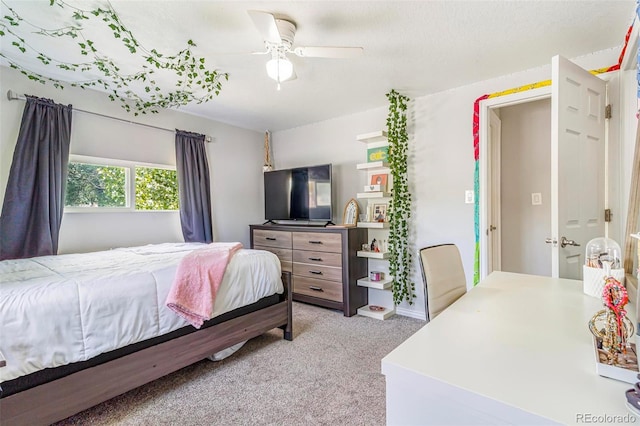 525 Willow Dr, Brighton, CO 80603 - photo 11