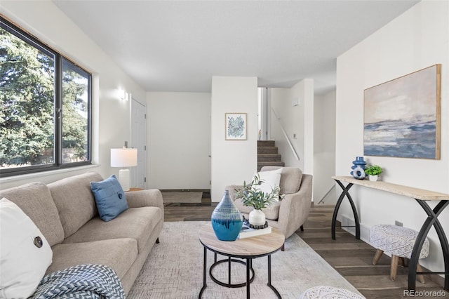 living room featuring hardwood / wood-style floors