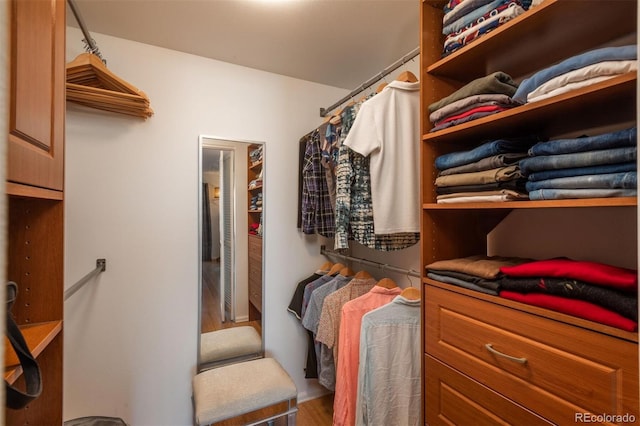 walk in closet with hardwood / wood-style flooring