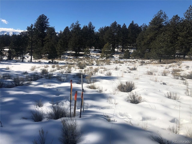 view of yard covered in snow