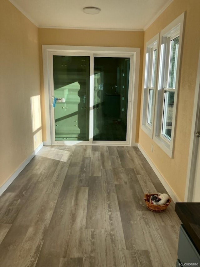 interior space featuring hardwood / wood-style floors and crown molding