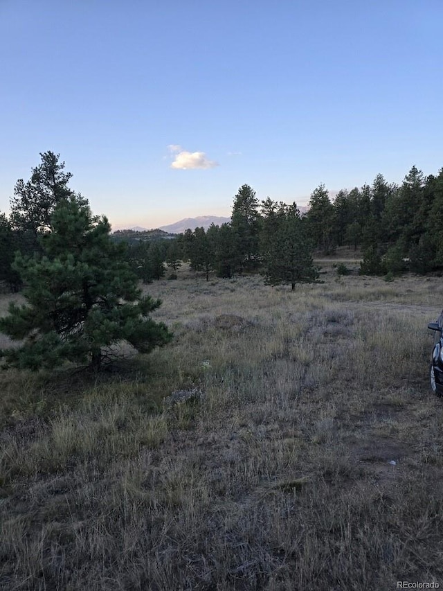 nature at dusk with a rural view