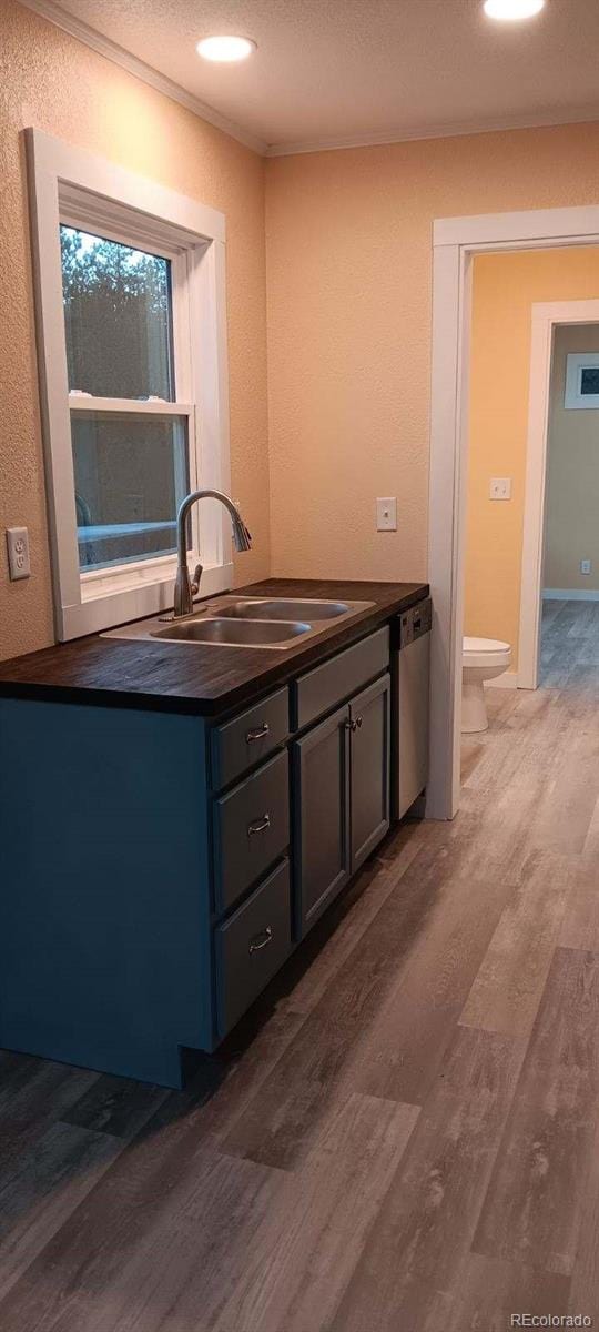 bathroom with vanity, wood-type flooring, ornamental molding, and toilet