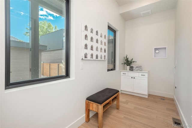 21 Washington Ave, Golden, CO 80403 - hall with plenty of natural light and light wood-style floors