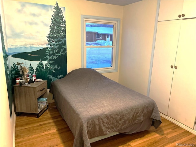 bedroom featuring light hardwood / wood-style floors and a closet