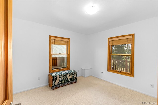 180 Ridge Rd, Cimarron, CO 81220 - empty room featuring carpet flooring, healthy amount of natural light, and baseboards