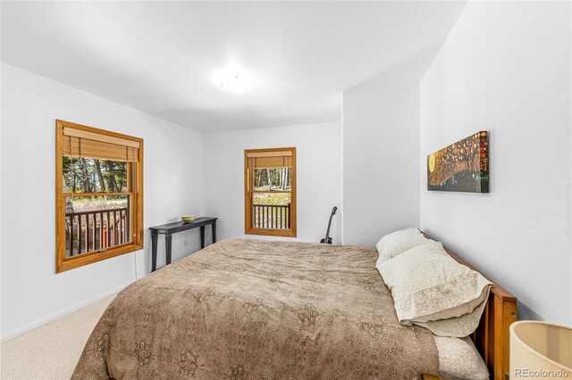 180 Ridge Rd, Cimarron, CO 81220 - bedroom with carpet floors, multiple windows, and baseboards