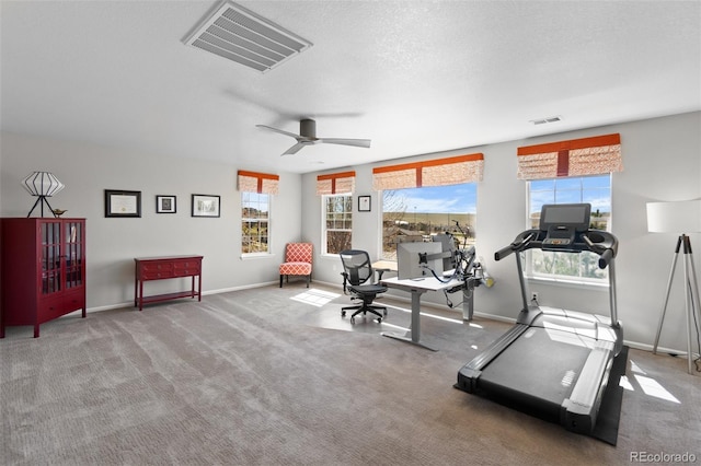 11703 S Rock Willow Way, Parker, CO 80134 - photo 37