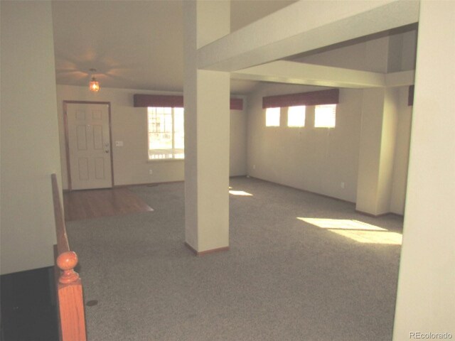 basement with carpet floors