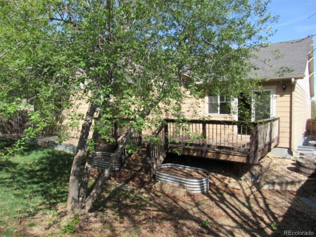 view of yard featuring a deck
