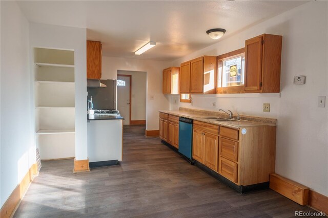 kitchen with dishwasher, dark hardwood / wood-style flooring, and sink