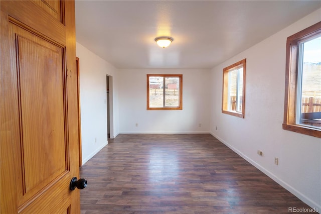 interior space featuring dark wood-type flooring