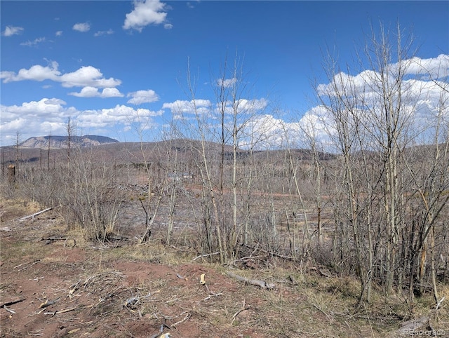 1994 Hilda Ln, Fort Garland, CO 81133