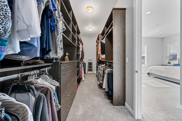 walk in closet featuring light carpet