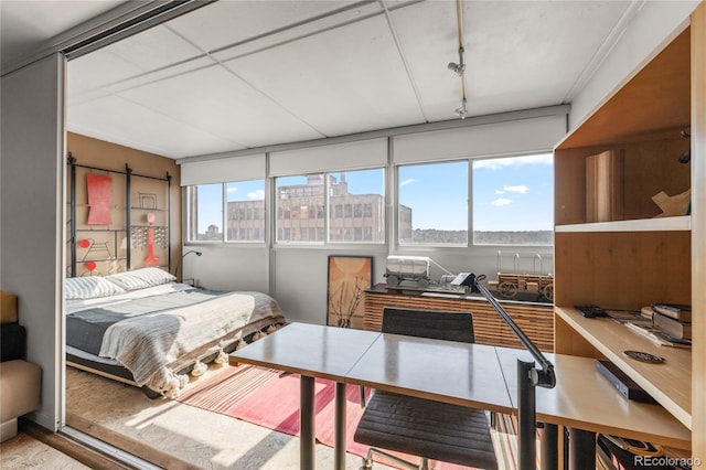 790 N Washington St Unit 1004, Denver, CO 80203 - photo 5