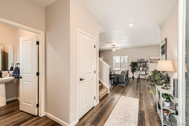 hall featuring dark wood-type flooring