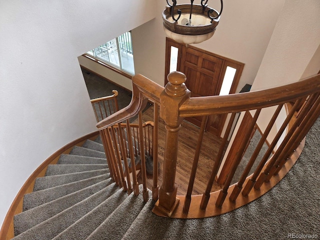 staircase with carpet flooring