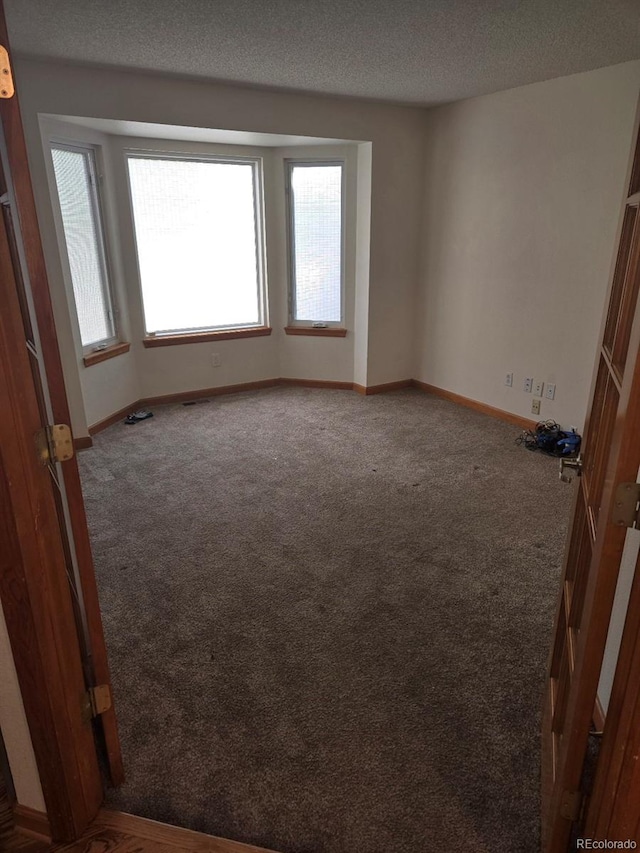 empty room with carpet flooring and a textured ceiling