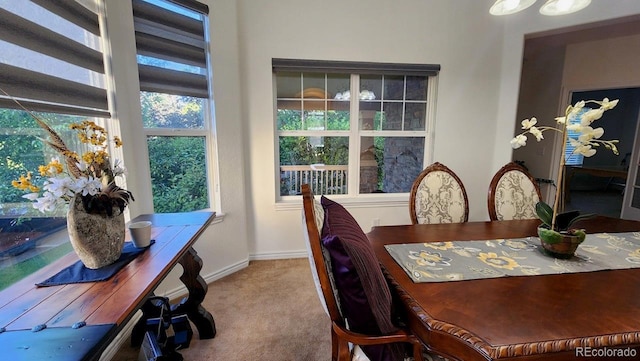 14232 Piney River Rd, Broomfield, CO 80023 - photo 7