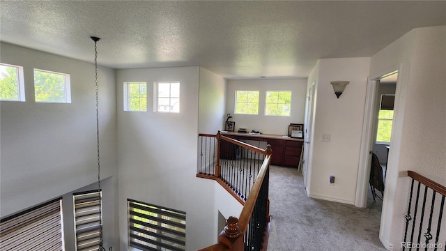 14232 Piney River Rd, Broomfield, CO 80023 - photo 12