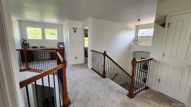 14232 Piney River Rd, Broomfield, CO 80023 - photo 15