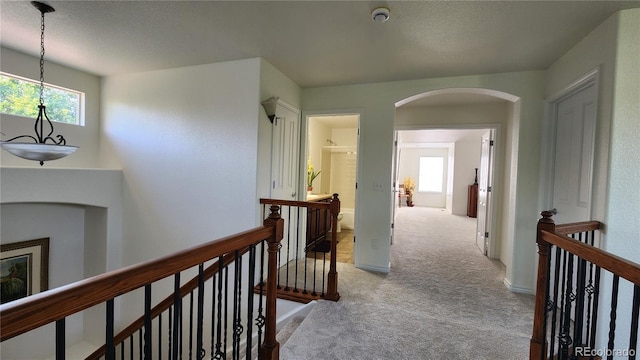 14232 Piney River Rd, Broomfield, CO 80023 - photo 16