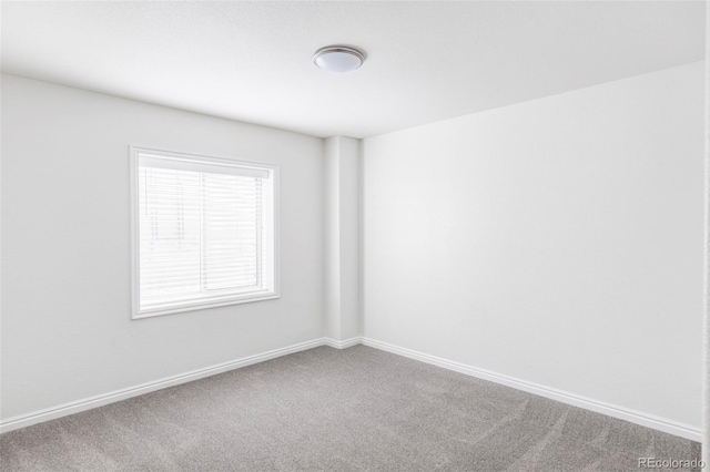 unfurnished room featuring carpet