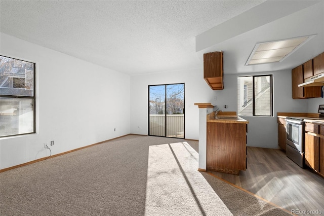 8701 Huron St Unit 5-210, Thornton, CO 80260 - kitchen featuring stainless steel electric stove, brown cabinetry, under cabinet range hood, carpet flooring, and a textured ceiling